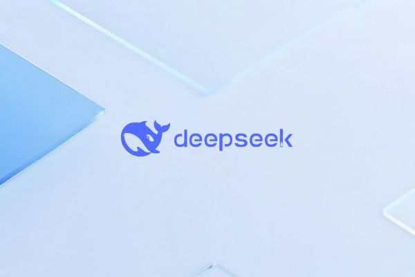 Ciuic云服务器：谷歌SEO本地化与香港住宅IP的完美结合，仅需15美元/月