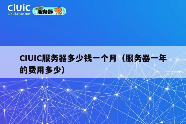 CIUIC服务器多少钱一个月（服务器一年的费用多少）