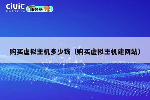 购买虚拟主机多少钱（购买虚拟主机建网站）
