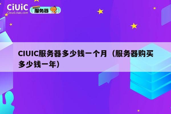 CIUIC服务器多少钱一个月（服务器购买多少钱一年）