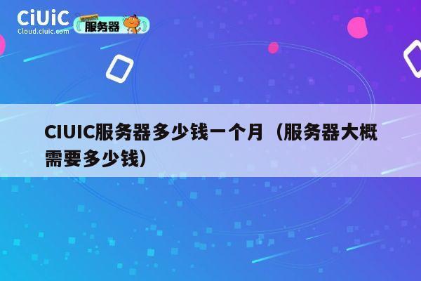 CIUIC服务器多少钱一个月（服务器大概需要多少钱）