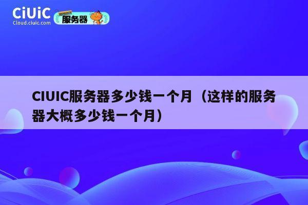 CIUIC服务器多少钱一个月（这样的服务器大概多少钱一个月）